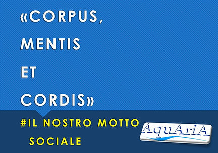 2020-11-19 pillola di aquaria.jpg