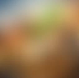 Why Public Choice Theory Changes How We See Politics