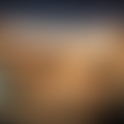 Borders as Business Models