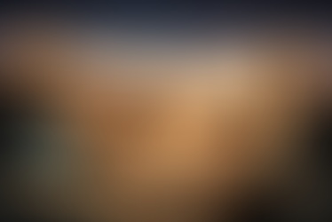 Borders as Business Models