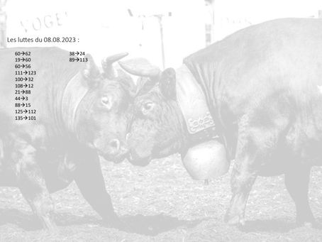 Les luttes du 08.08.2023 !