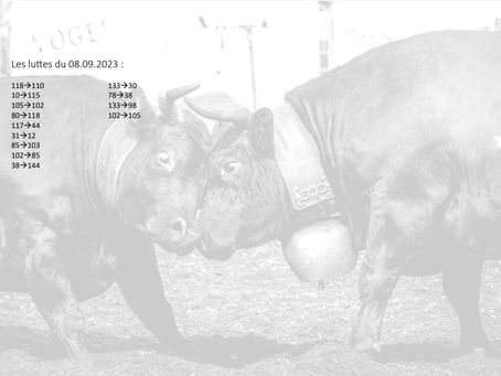 Les luttes du 08.09.2023 !