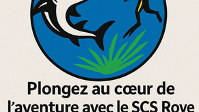 Réservez votre Baptême gratuit !