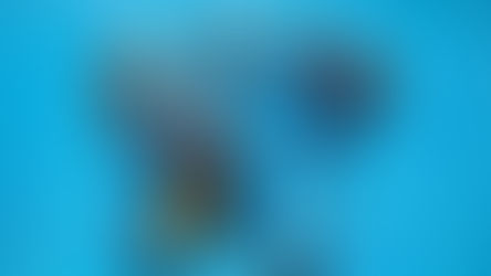 La rentrée en plongée 😜