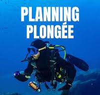 📅 C’est officiel : le planning des sorties est à jour !