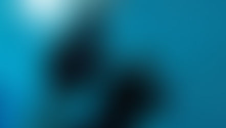 2ème partie des photos du Forum