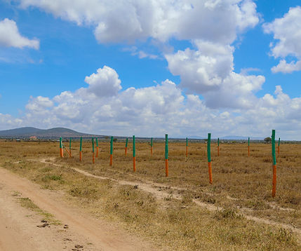 Prime plots of land for sale in Nakuru with clear beacons and access roads.