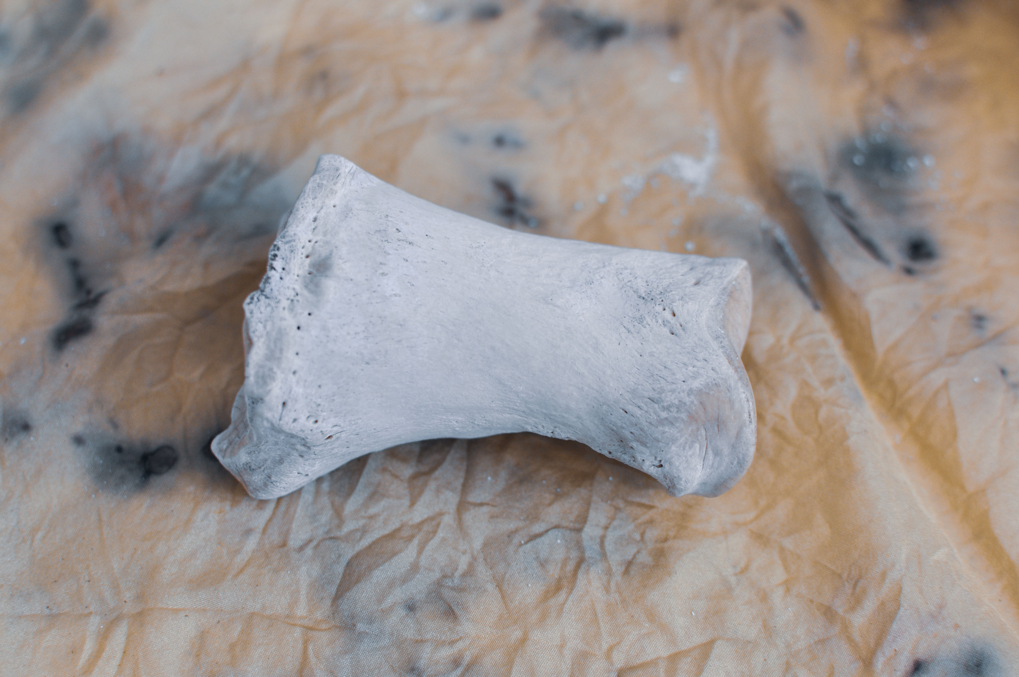 Long Mustang Pastern