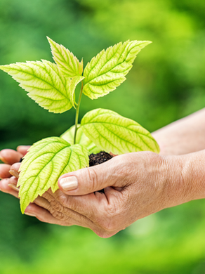 Giving and Receiving
