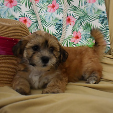 Knight 8 weeks 2_edited.jpg
