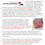 Thumbnail: Info Card (pkg 50)