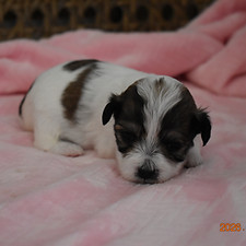 Kinsley 2 weeks_edited.jpg