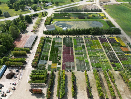 Container Yard