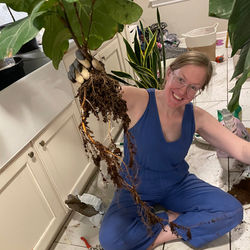 Reformed plant killer