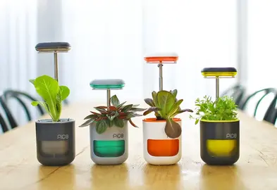 Pico Planter