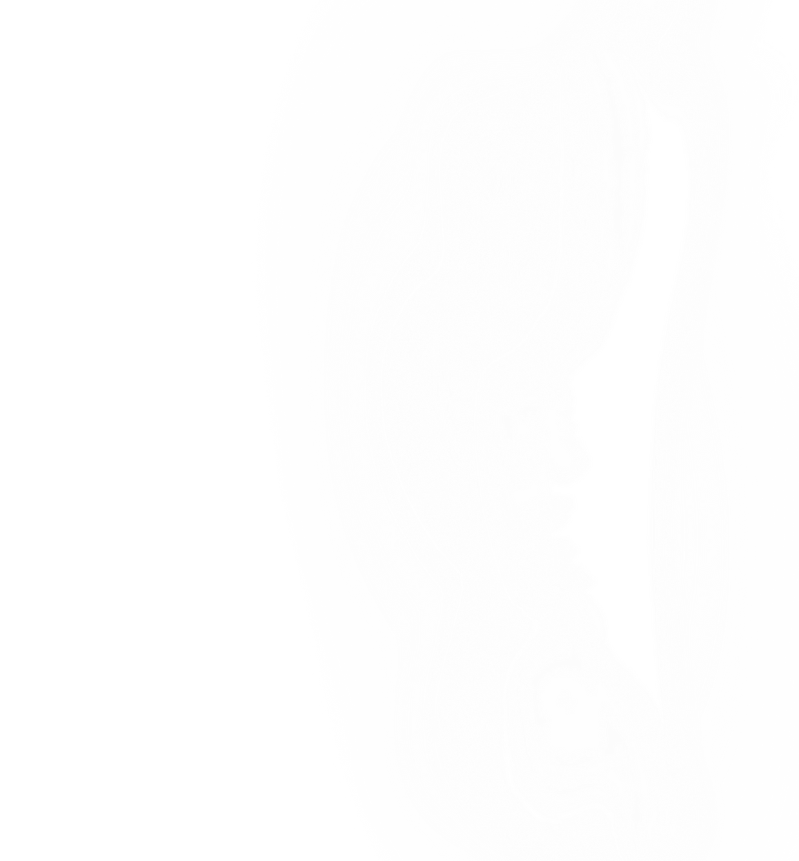 another white fade.png