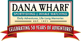 danawharf.png
