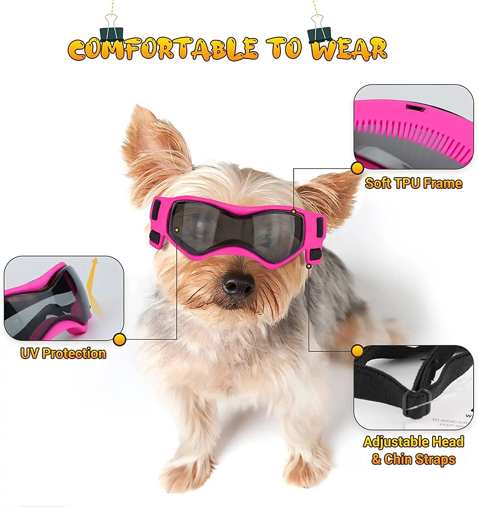 Dog Goggles for Small Breed Dog Sunglasses Dog UV Sunglasses Windproof Soft Fram