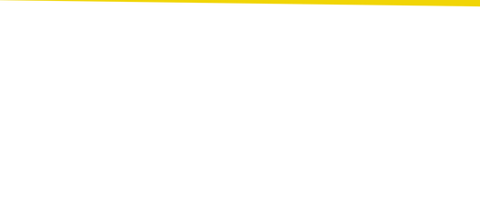 Website Strip BG_09.png