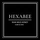 HEXABEE logo.jpg