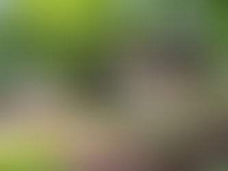 Window Replacement and Installation in Wayzata Minnesota by Lakeside Exteriors