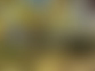 Who’s the best window installation company in the Twin Cities metro?