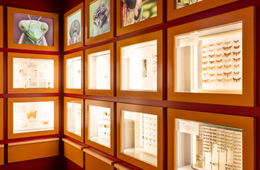 Naturmuseum Solothurn