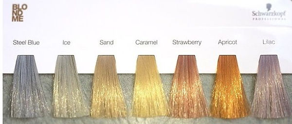 Schwarzkopf Professional.jpg