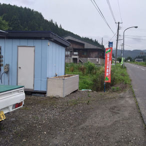 おとりアユについて