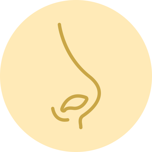 organ.png