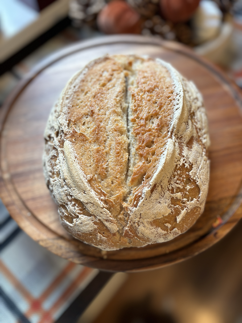 Thumbnail: Gluten Free Intro to Sourdough Class  April 8th 6:30