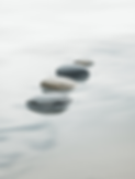 canvas.png