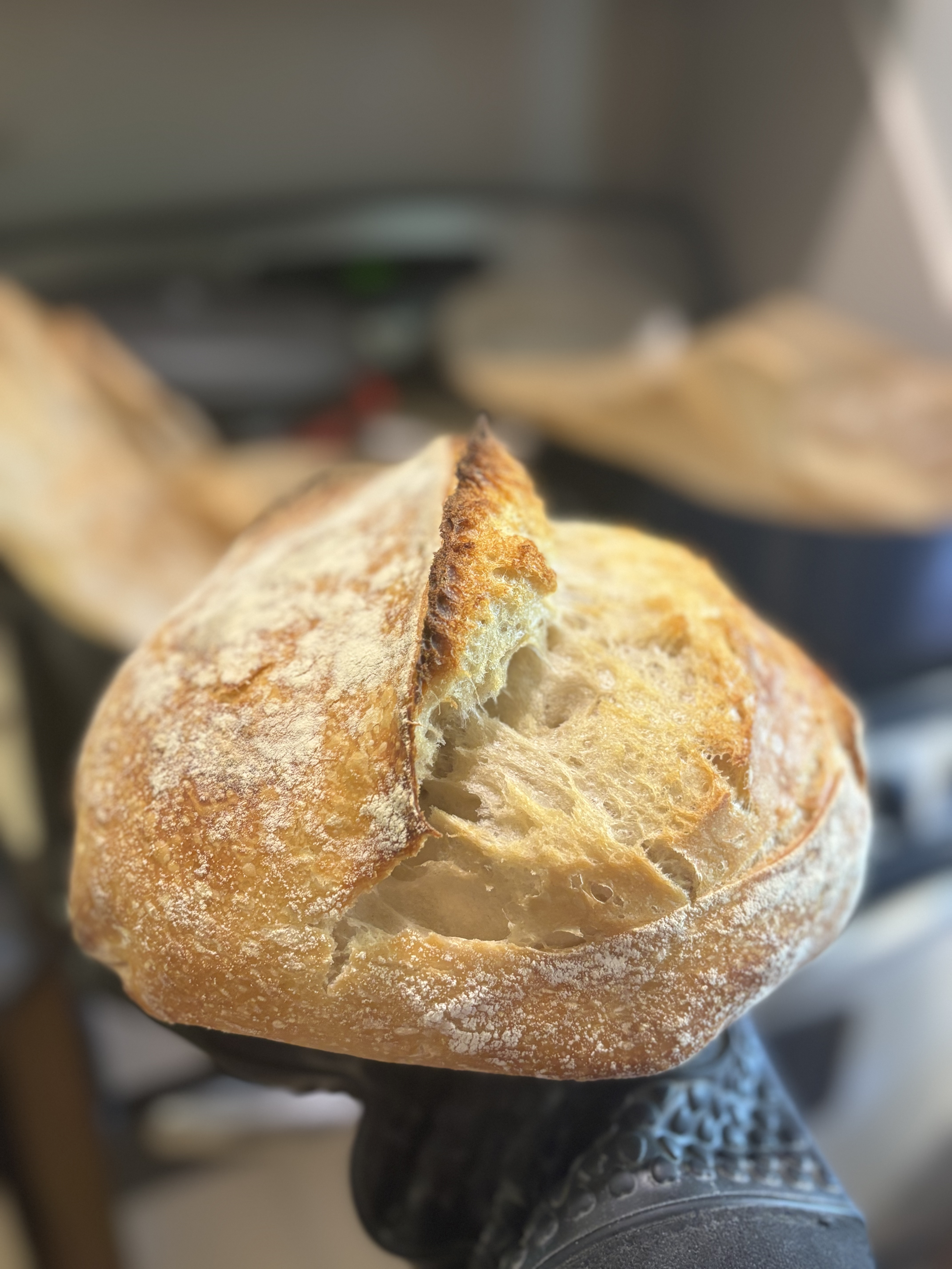 Intro to Sourdough Class Sunday Feb. 22nd 10am