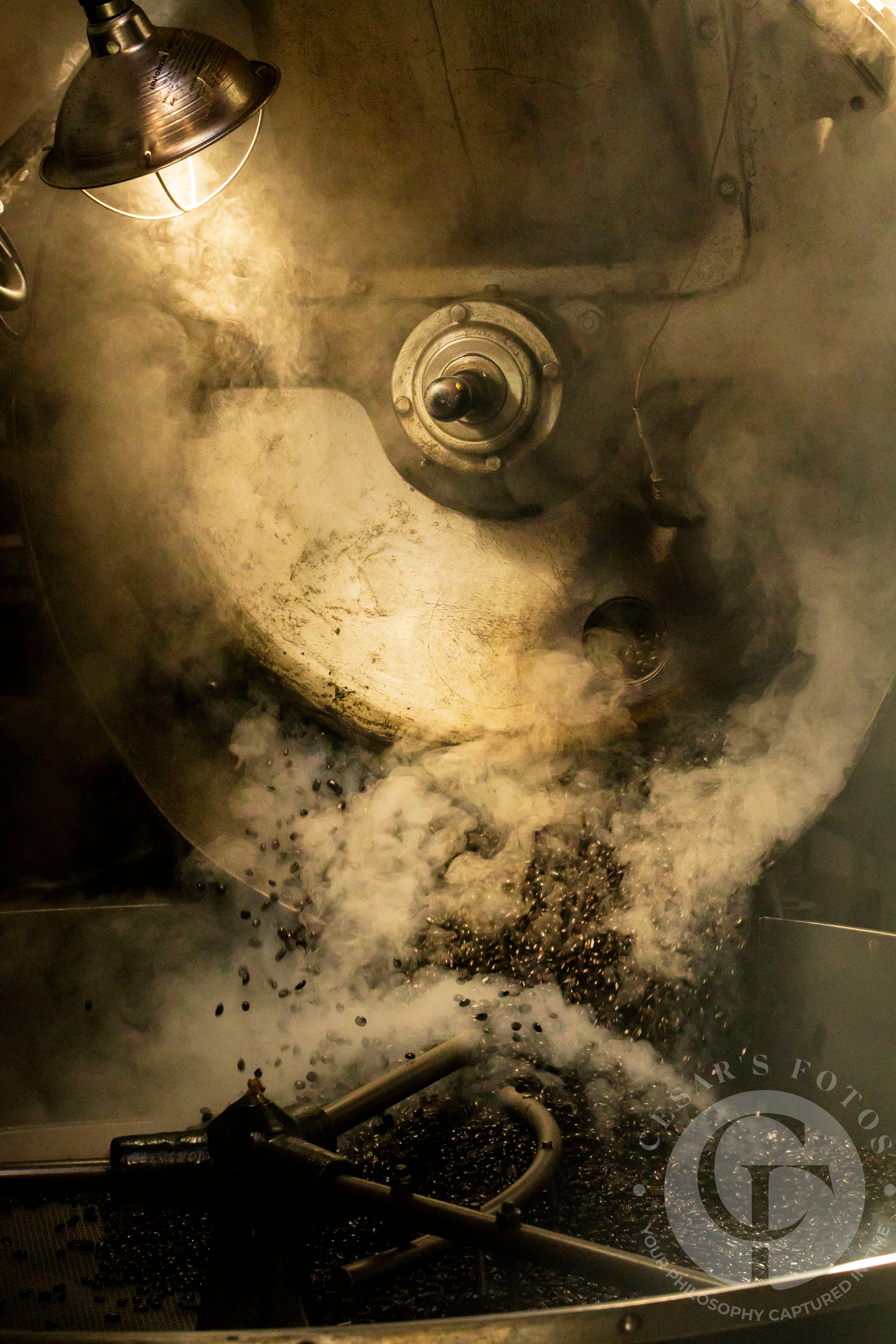 3LBS/Single or Custom Weekly Sub.