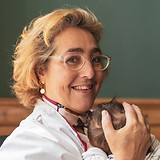 Delphine Petit-Postma