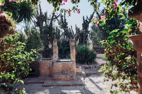 Can Clementine, Holiday home Mallorca, Pool, Bali bed, Holiday rental Mallorca, Finca Mallorca, Pool house, Secluded paradise home, private finca, summer home, Holiday rentals, Mallorca finca.