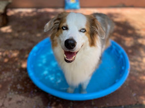 "Summertime and the Livin is Easy"