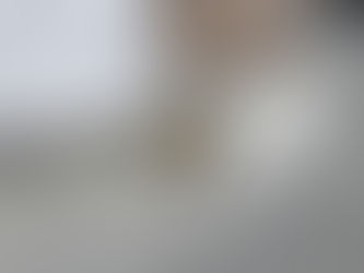 メンテ施工事例④ バリカー