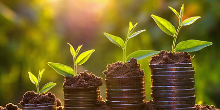 improve bottom line, green, profits, circular economy,
