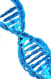 dna-overlay-420-thc.domains-genetics-cod