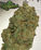 Orange Crush (Planet Hollyweed) Sativa Strain Review