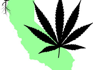 Armed Security Transportation Personnel for the 420 Industry