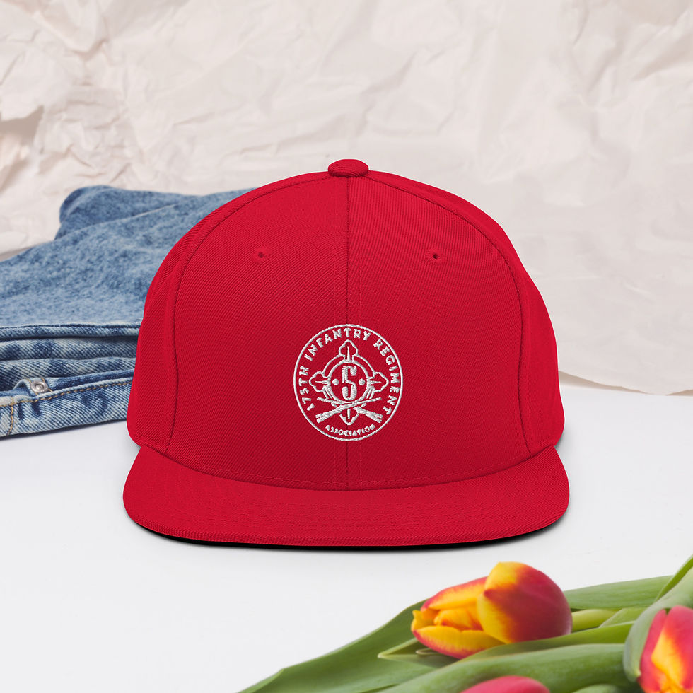 Thumbnail: 175th Infantry w/White Logo - Snapback Hat