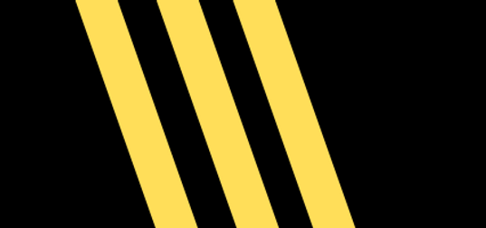 Copy of Copy of Copy of Flash Alert Header.png