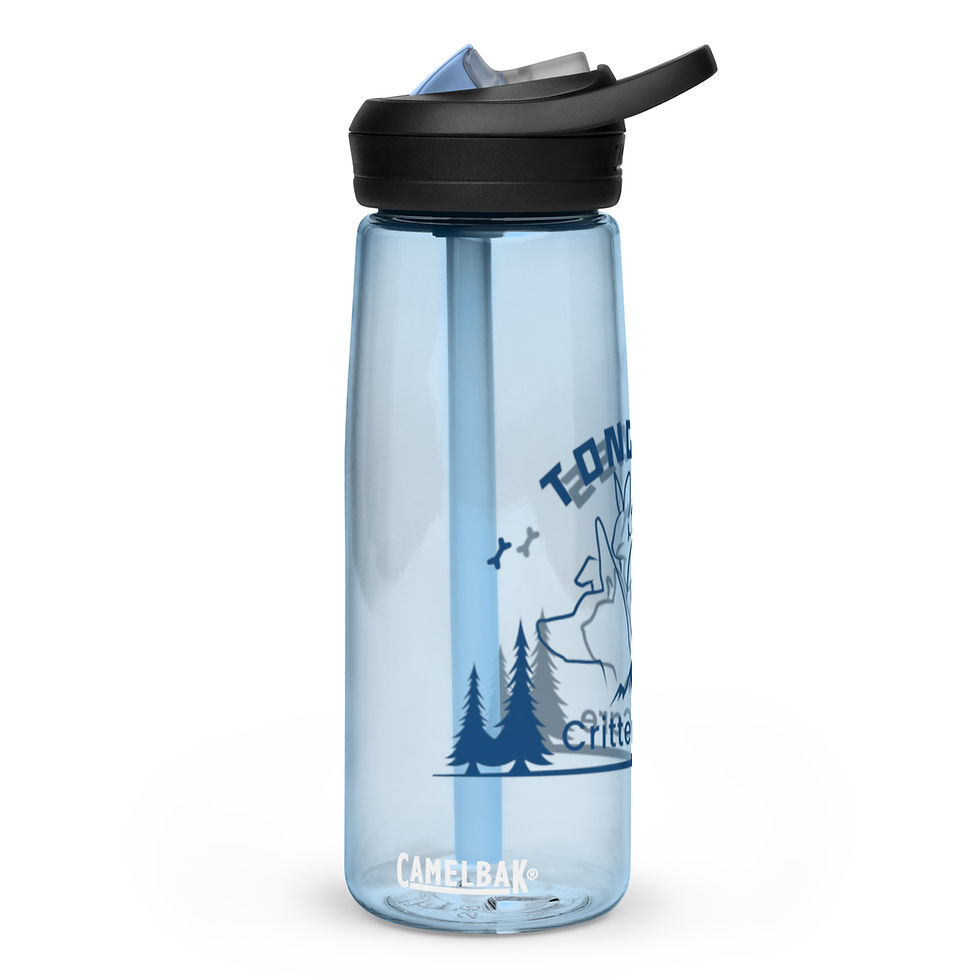 Thumbnail: TCC Sports water bottle