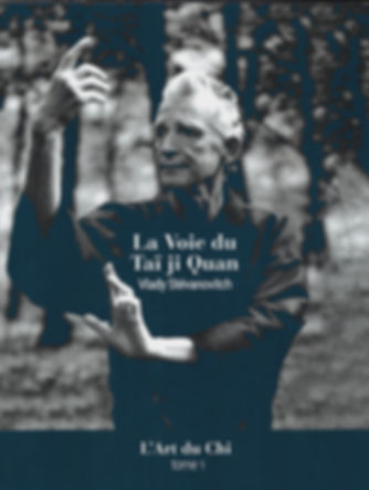 El camino del Tai Ji Quan