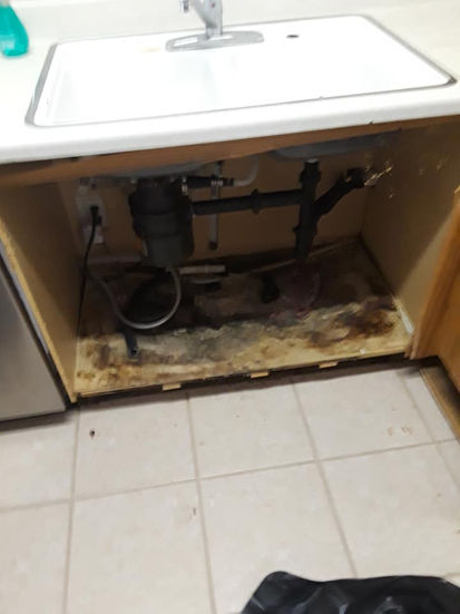 Mold Remediation / Water Damage & Hazardous Take Out