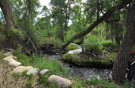 Shaw's River Ranch - Residential Mountain Lots in Salida, Colorado