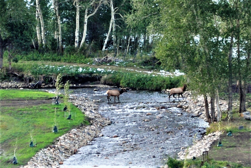 Shaw's River Ranch - Residential Mountain Lots in Salida, Colorado