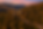 Lot 6-D1.png
